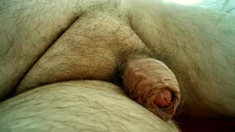 Samenspender online show from October 28, 1:47 pm