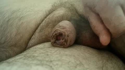 Snapshot of sugus56 chatting on July 20, 12:29 pm Samenspender online show from July 20, 12:29 pm