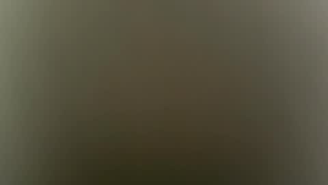 Snapshot of sulyrouse chatting on February 4, 5:02 am suly online show from February 4, 5:02 am