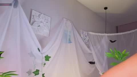 Becky online show from November 1, 1:18 am