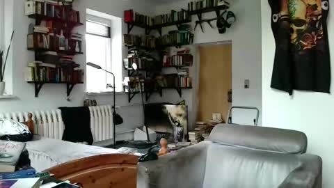 sunr1sa online show from January 3, 10:41 am