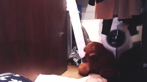 Snapshot of sunshinehella chatting on December 3, 7:10 am Hella online show from December 3, 7:10 am