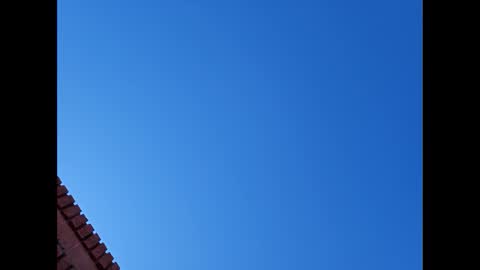 Suntroll online show from January 6, 7:13 pm