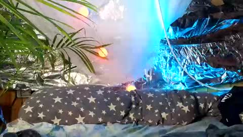 super jony and Marta GMT 1300-1800 every day online show from October 9, 9:51 am