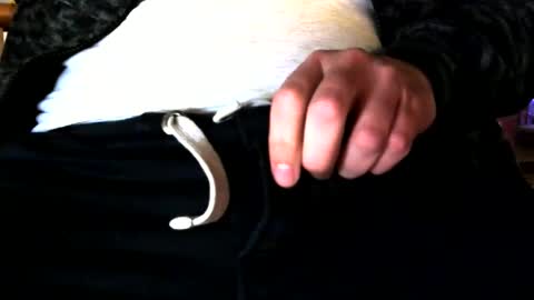 superstuntman1 online show from February 10, 7:36 am