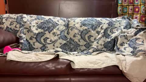 Snapshot of supremelifers chatting on January 14, 7:48 am Stony online show from January 14, 7:48 am