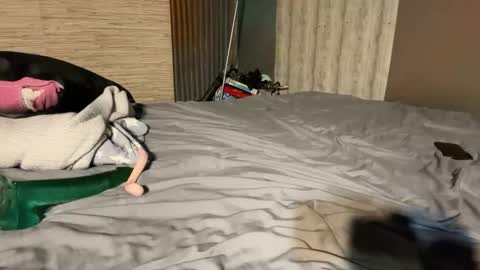 Stony online show from January 8, 7:16 pm