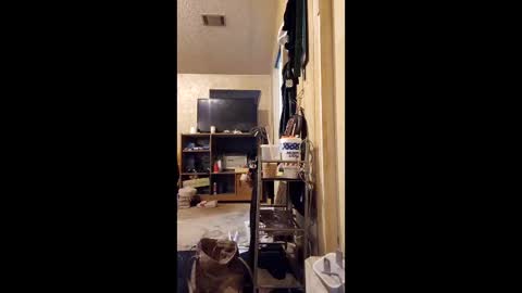 Snapshot of surfsup850 chatting on December 18, 3:01 am surfsup850 online show from December 18, 3:01 am