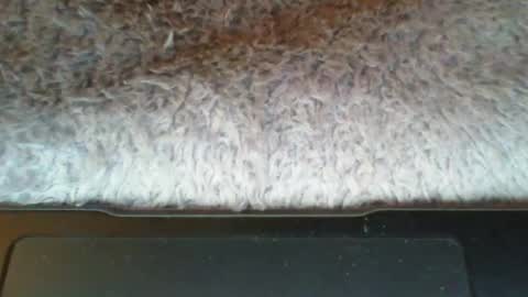 Snapshot of suseee chatting on March 21, 3:44 am Suseee online show from March 21, 3:44 am