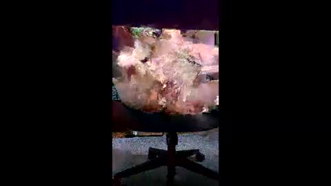 Snapshot of svald0 chatting on June 5, 12:44 pm svald0 online show from June 5, 12:44 pm