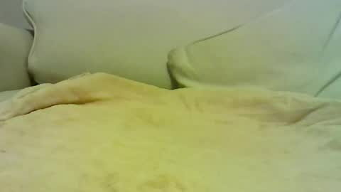 Snapshot of sven_eber chatting on January 10, 7:04 pm Peter online show from January 10, 7:04 pm