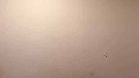 sweaterboy666 online show from March 10, 11:37 am