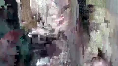 Snapshot of sweet_chel chatting on May 9, 2:39 am sweet_chel online show from May 9, 2:39 am