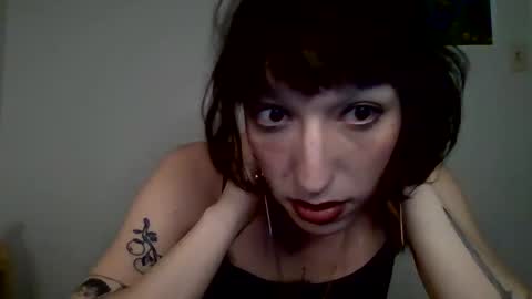 Snapshot of sweet_harvey chatting on April 10, 12:38 am sweet_harvey online show from April 10, 12:38 am