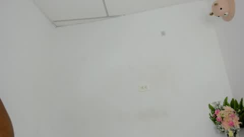 Snapshot of sweet_litle chatting on May 13, 4:54 am sweet_litle online show from May 13, 4:54 am
