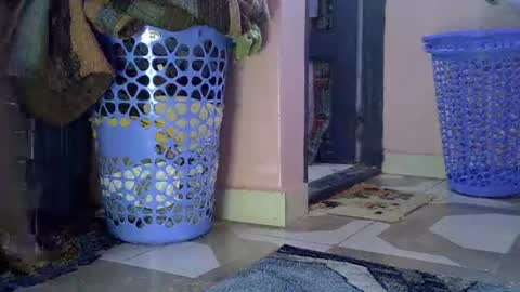 Lisa online show from February 1, 8:13 am