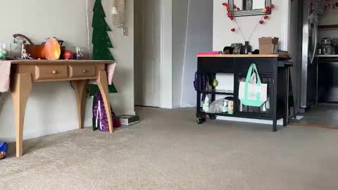 Heidi Brenner - Please check bio for schedule  FAQ online show from December 14, 2:33 pm