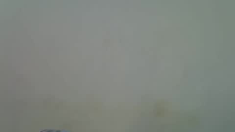 Alura online show from November 30, 9:02 am