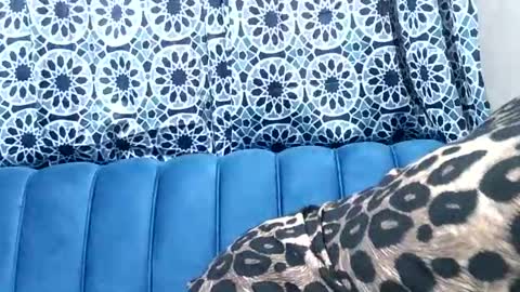 Snapshot of sweetgal11 chatting on July 3, 10:32 am sweetgal11 online show from July 3, 10:32 am