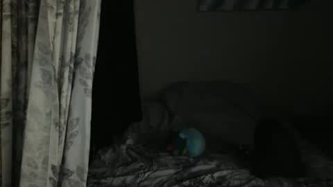 Snapshot of sweetlikeahoneybee chatting on May 29, 1:36 am Sweetlikeahoneybee online show from May 29, 1:36 am