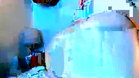 sweetnpetitejennij online show from June 1, 5:53 am