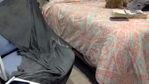 WeAim2PZzz online show from February 20, 11:43 pm