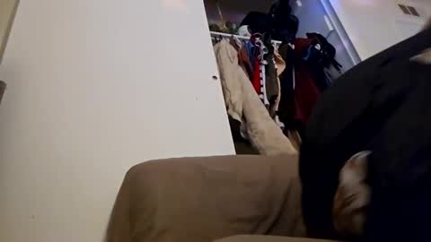 sweetp3ach29 online show from December 16, 6:53 am