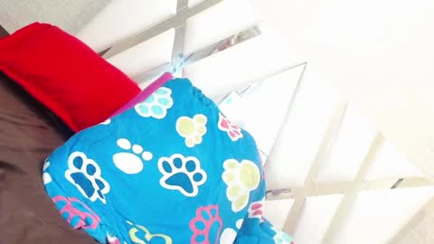 sweetsultrysiren online show from January 23, 6:35 pm