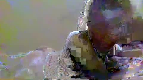 Snapshot of sweetvalk20 chatting on February 25, 2:25 am sweetvalk20 online show from February 25, 2:25 am