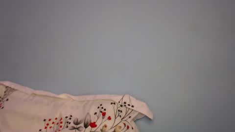 Snapshot of swetieecharmm chatting on February 20, 5:24 pm Cat online show from February 20, 5:24 pm