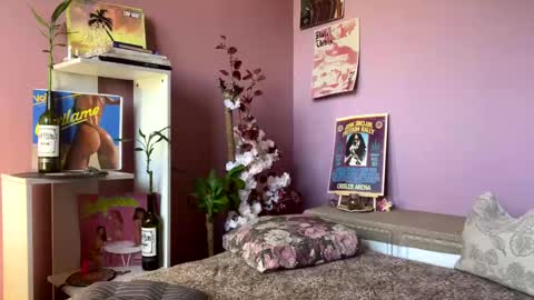 swettcabol online show from January 28, 5:35 pm