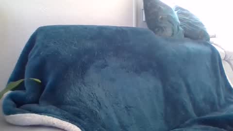 Snapshot of swissride chatting on February 27, 1:38 pm swissride online show from February 27, 1:38 pm