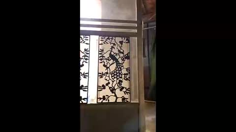 syevecrl online show from February 11, 1:54 am