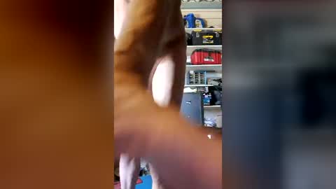 Snapshot of syevecrl chatting on August 2, 3:43 pm syevecrl online show from August 2, 3:43 pm