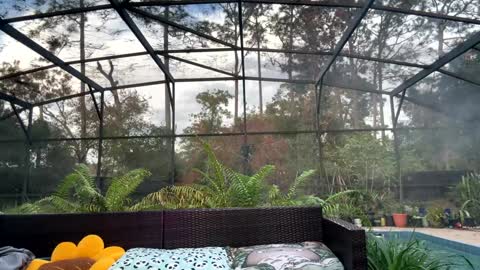 Snapshot of syndica chatting on December 17, 9:43 pm Jennah online show from December 17, 9:43 pm