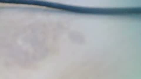 Snapshot of syrius57920 chatting on December 5, 8:22 am syrius57920 online show from December 5, 8:22 am