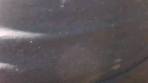 Snapshot of syrius57920 chatting on January 18, 4:59 am syrius57920 online show from January 18, 4:59 am