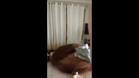 Snapshot of tab7exp chatting on March 21, 1:21 am tab7exp online show from March 21, 1:21 am