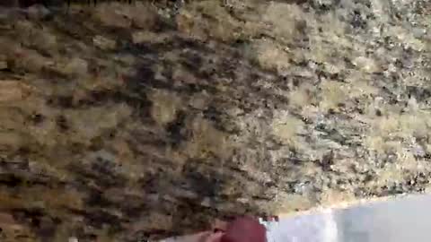 Snapshot of tacitblue7 chatting on March 2, 4:47 pm Canon online show from March 2, 4:47 pm