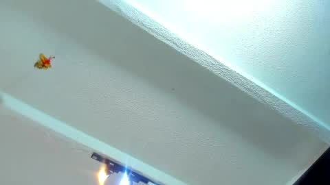 Snapshot of tafari_1 chatting on May 22, 11:05 am Tafari Zulu online show from May 22, 11:05 am