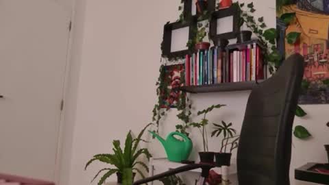 Tali Majid online show from January 6, 5:33 am