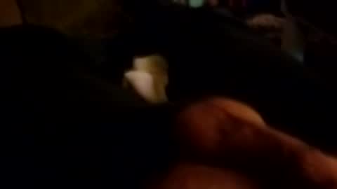 The Man of Steel online show from October 26, 10:43 am