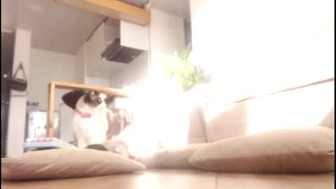 Snapshot of tamara_daniels chatting on September 14, 9:58 pm Tamara online show from September 14, 9:58 pm