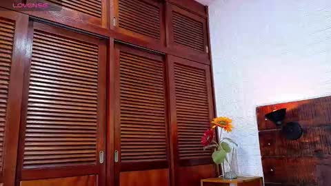    online show from November 24, 12:43 am