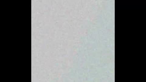 tarshil017 online show from November 4, 2:21 am