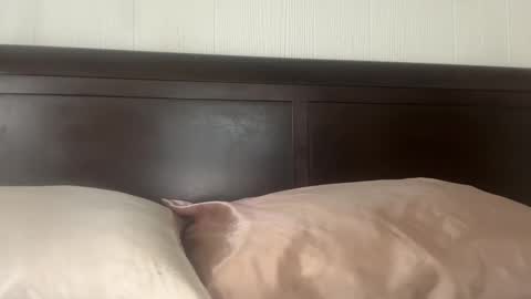 Snapshot of tatiannatease chatting on December 14, 9:08 pm Tatianna Marie online show from December 14, 9:08 pm