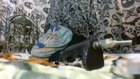 Snapshot of tattiandbugle chatting on October 24, 9:55 pm Katty badbitch online show from October 24, 9:55 pm