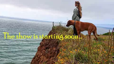 Snapshot of tatum__kahlo chatting on October 23, 10:30 pm TATUM ALL MY LINKS online show from October 23, 10:30 pm