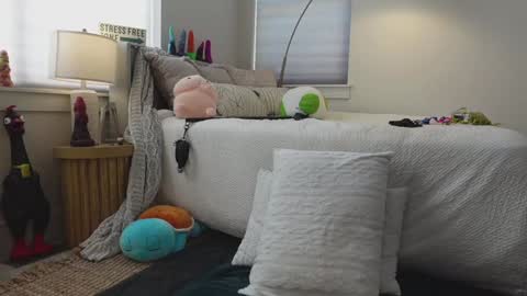 Taylor --  online show from January 24, 9:15 pm