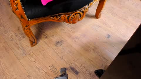 Snapshot of taylorfemdom chatting on December 15, 10:37 pm Mistress Taylor online show from December 15, 10:37 pm